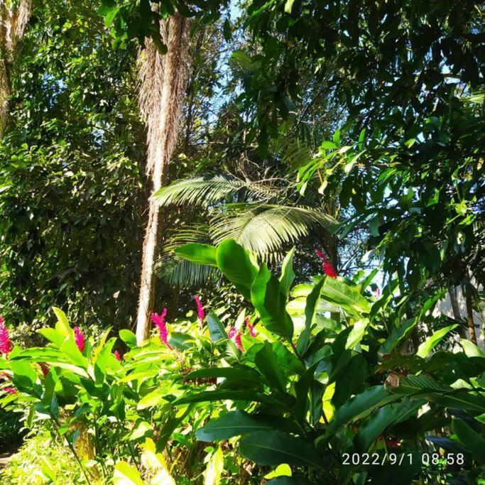 Castelinho Do Felix Guaruja Pernambuco Villa Luaran gambar